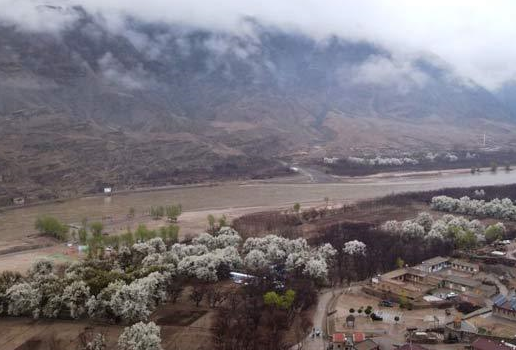 國社“寧”聚力|鄉村振興只有進行時 沒有完成時